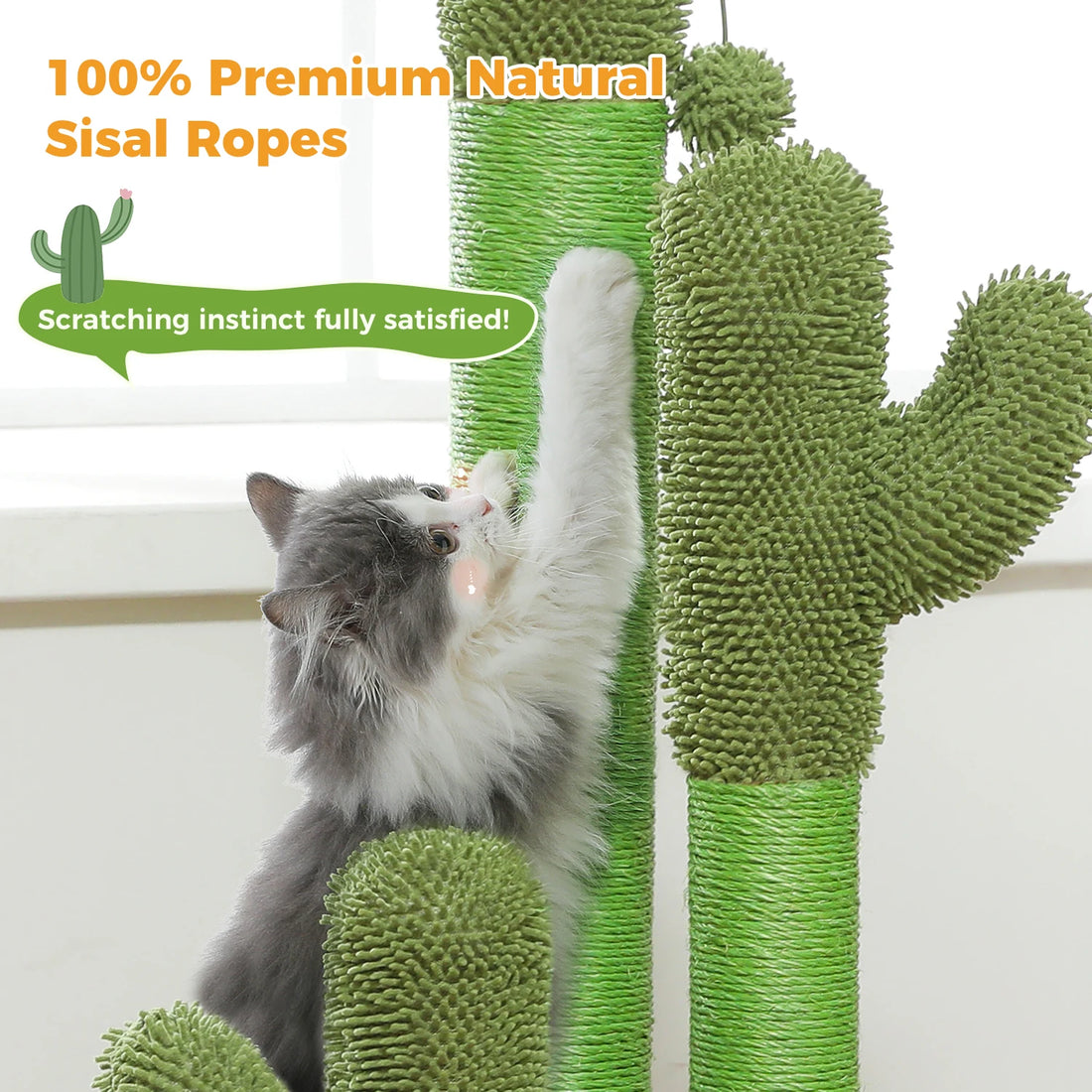 Gros plan sur un chat gris et blanc qui griffe la corde de sisal naturel d'un griffoir cactus