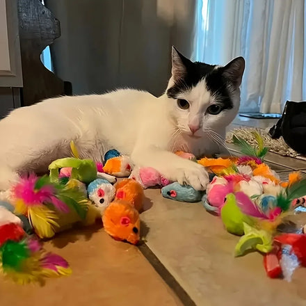 Chat blanc et noir allongé parmi des souris en peluche et jouets à plumes colorés posés sur un carrelage