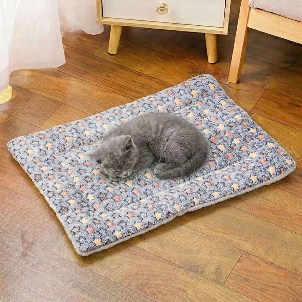 Chaton gris endormi en boule sur un coussin chauffant en peluche étoilée, sur un parquet en bois