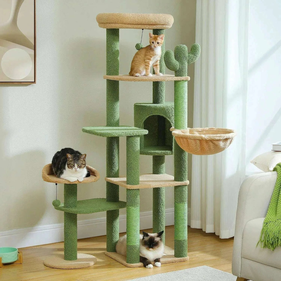 Grand griffoir arbre à chat vert contre un mur clair, chat roux en haut, chat tigré dans le panier et siamois au pied