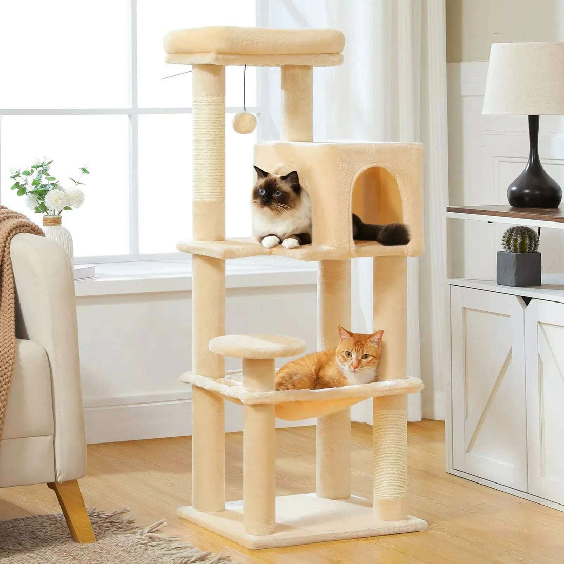 Arbre à chat design beige dans un salon lumineux, chat ragdoll dans la niche et chat roux dans le hamac