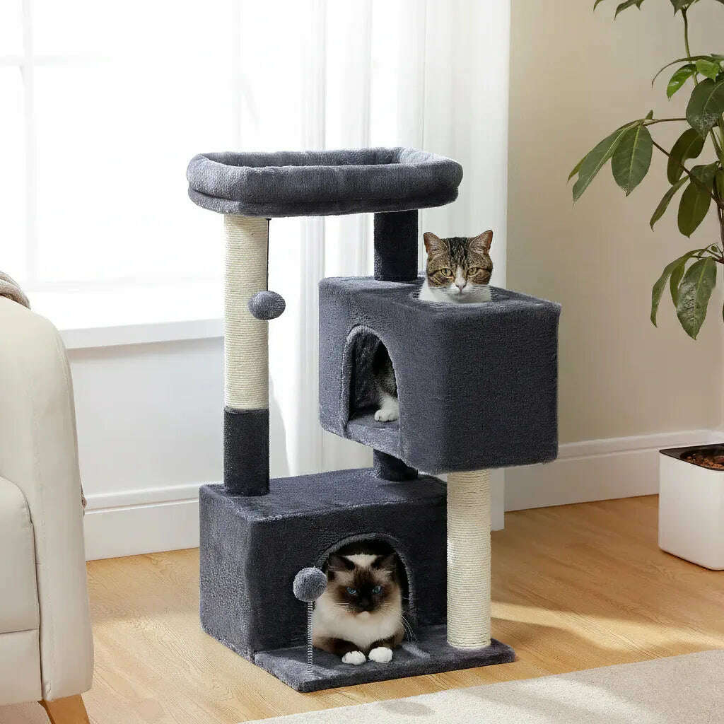 Arbre à chat anthracite dans un salon lumineux, un chat tigré sur la niche du haut, un siamois en bas