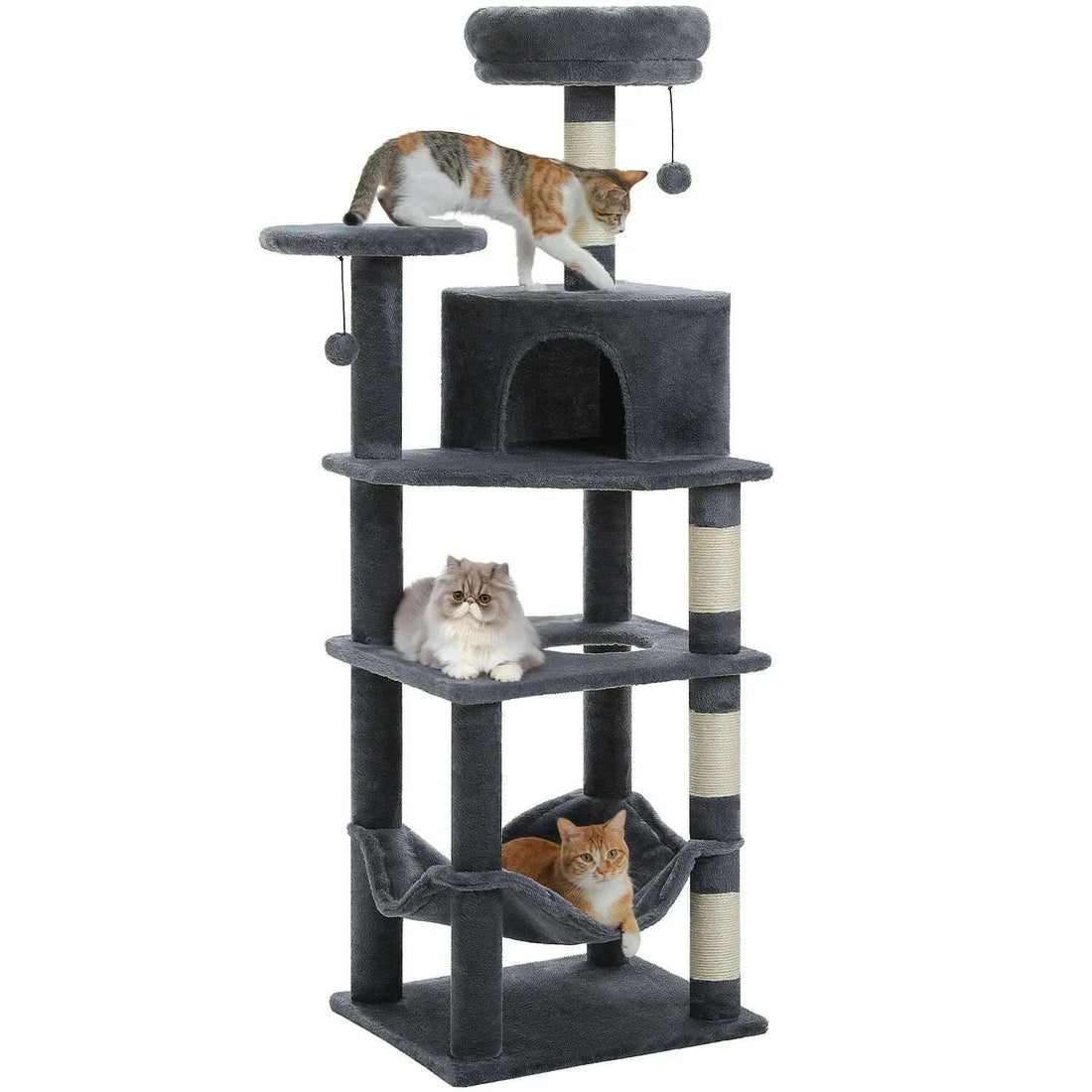 Tour à chat gris anthracite avec sisal, niche et hamac, chat tricolore marchant sur le dessus