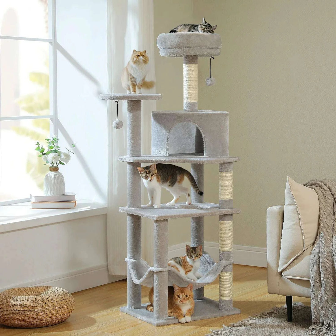 Chats jouant sur un arbre à chat gris clair avec sisal, niche et hamac dans un salon