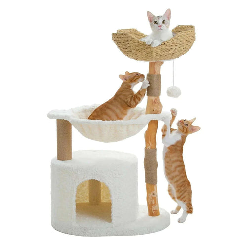 Arbre à chat en bois massif avec panier tressé, hamac blanc et niche, trois chats roux et blanc en situation