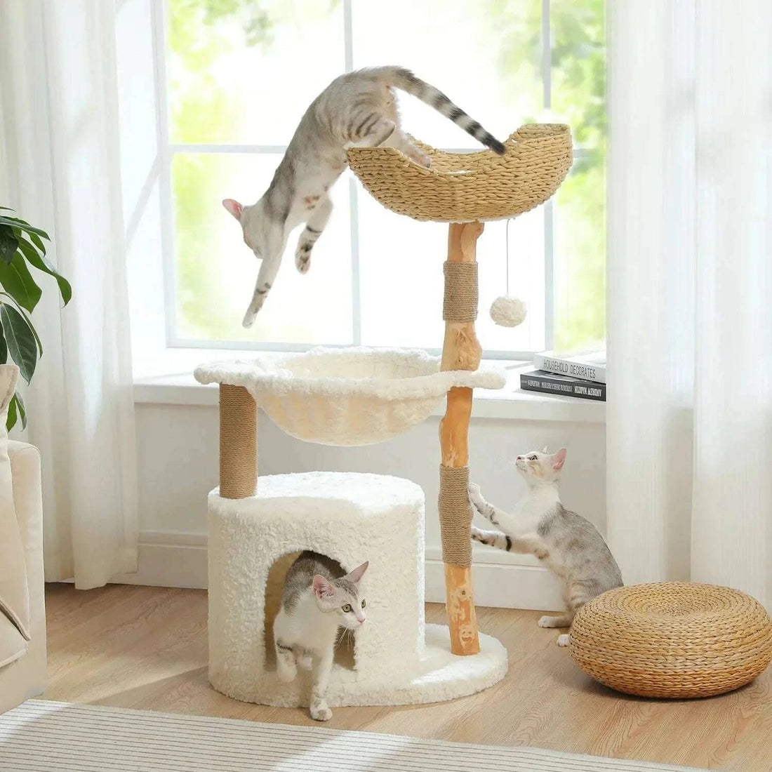 Chat tigré bondissant vers le panier tressé d'un arbre à chat en bois, devant une fenêtre lumineuse