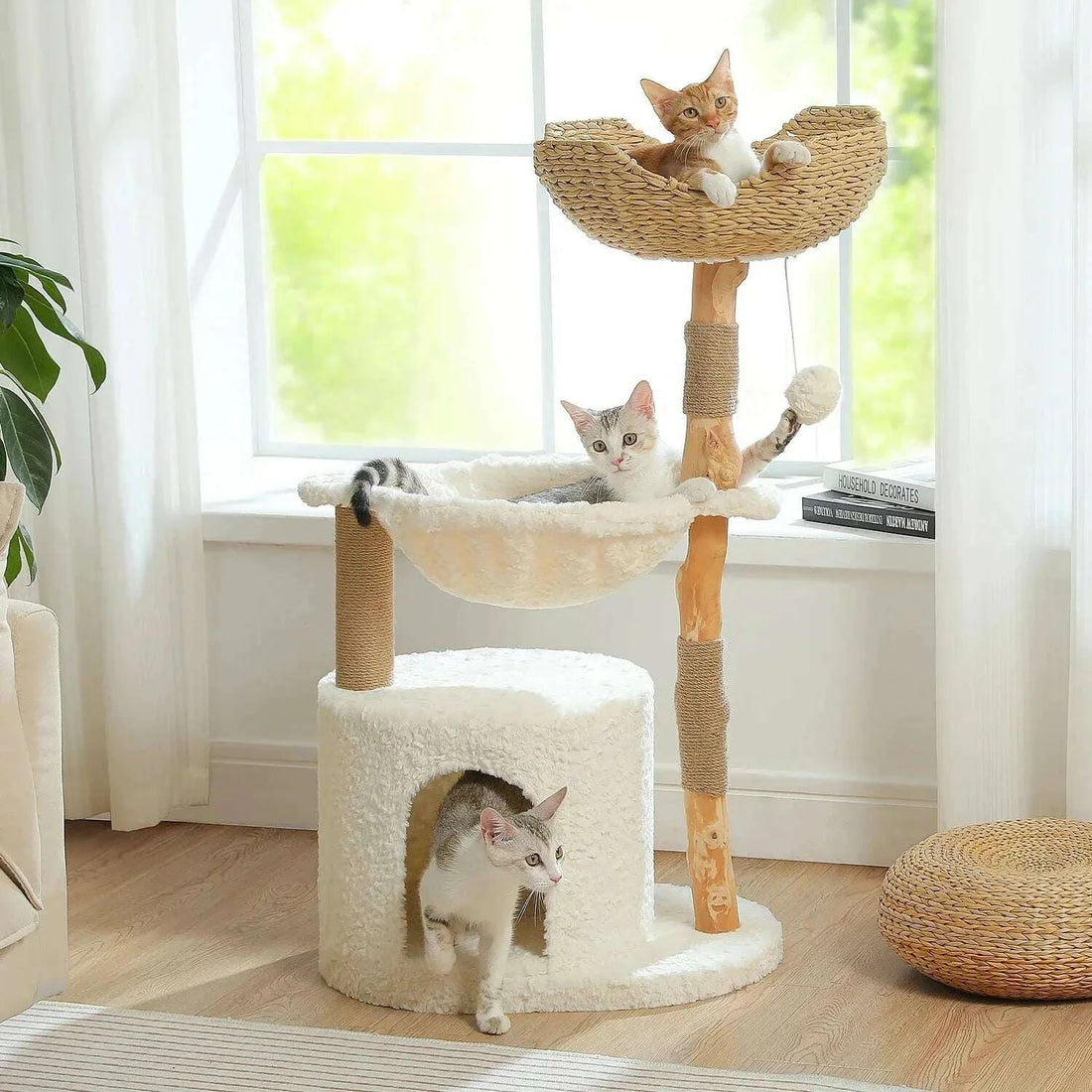 Arbre à chat en bois clair près d'une fenêtre, avec trois chats installés dans le panier, le hamac et la niche