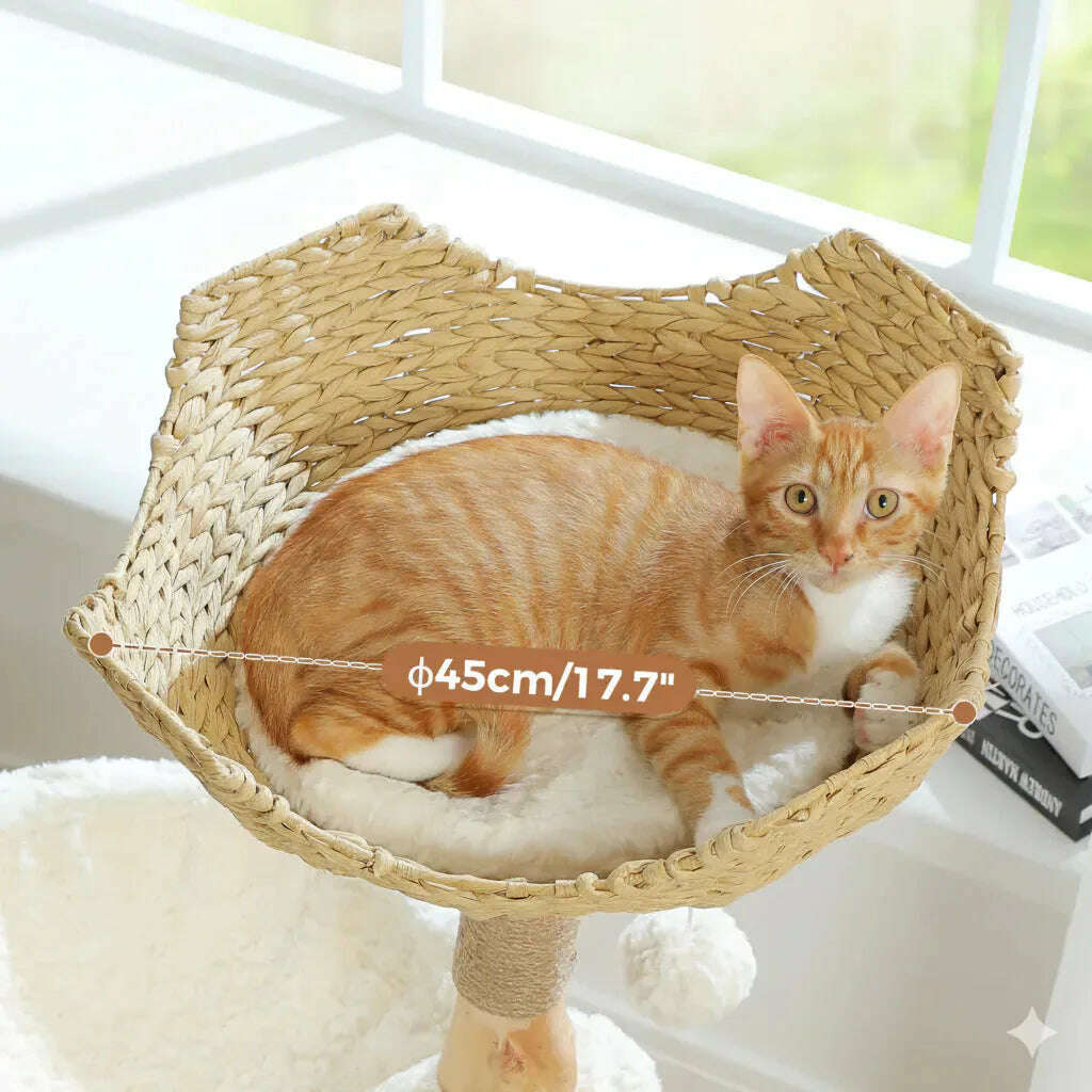Chat roux allongé dans la corbeille en fibres tressées du sommet, diamètre 45 cm