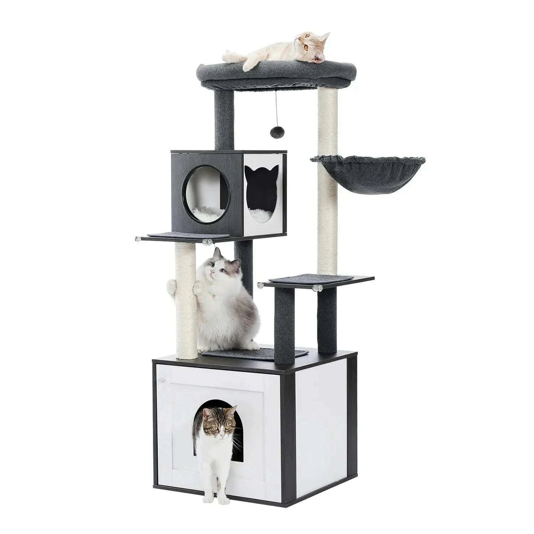 Arbre à chat gris anthracite et blanc avec maison-litière, hamac et trois chats installés