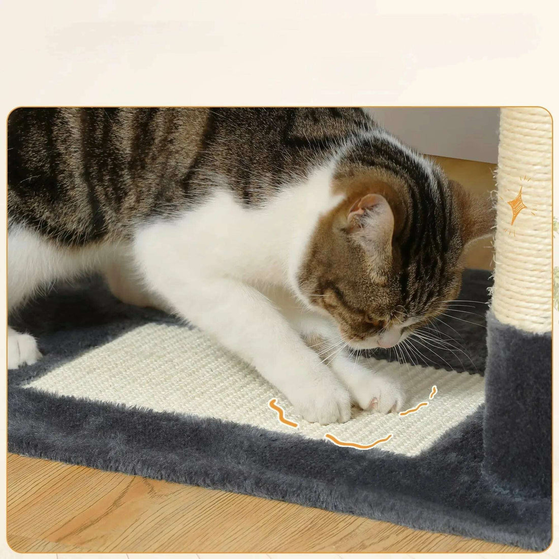 Chat tigré et blanc qui se fait les griffes sur le tapis de sisal à la base de l'arbre, près d'un poteau
