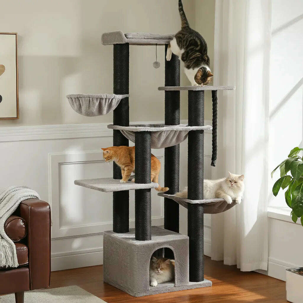 Grand arbre à chat gris et noir dans un salon lumineux, chats perchés sur les hamacs, plateformes et dans la niche