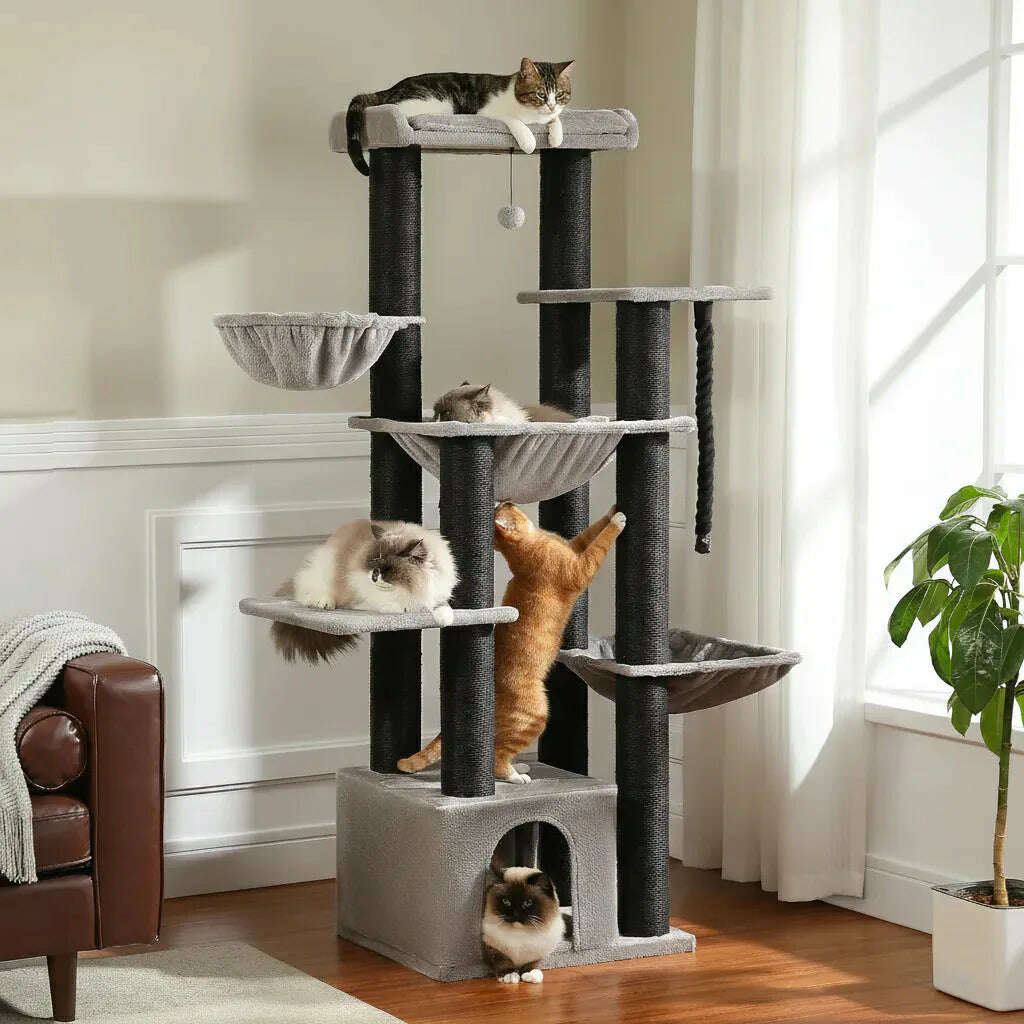 Arbre à chat en bois flotté près d'une fenêtre, chat roux dressé contre un poteau et chats couchés sur les étages