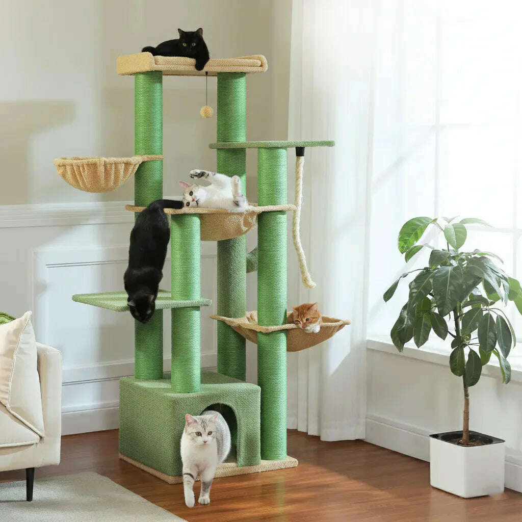 Meuble griffoir vert avec niche, hamacs et chats qui jouent près d'une plante verte dans un salon