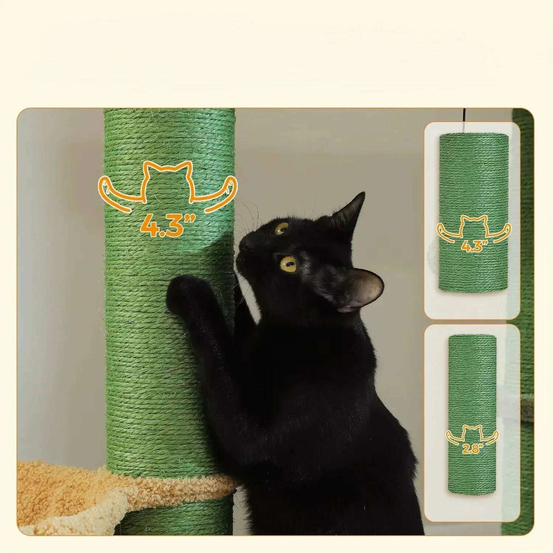 Chat noir se griffant sur un poteau en sisal vert de 4,3 pouces, avec comparaison d'un poteau de 2,8 pouces