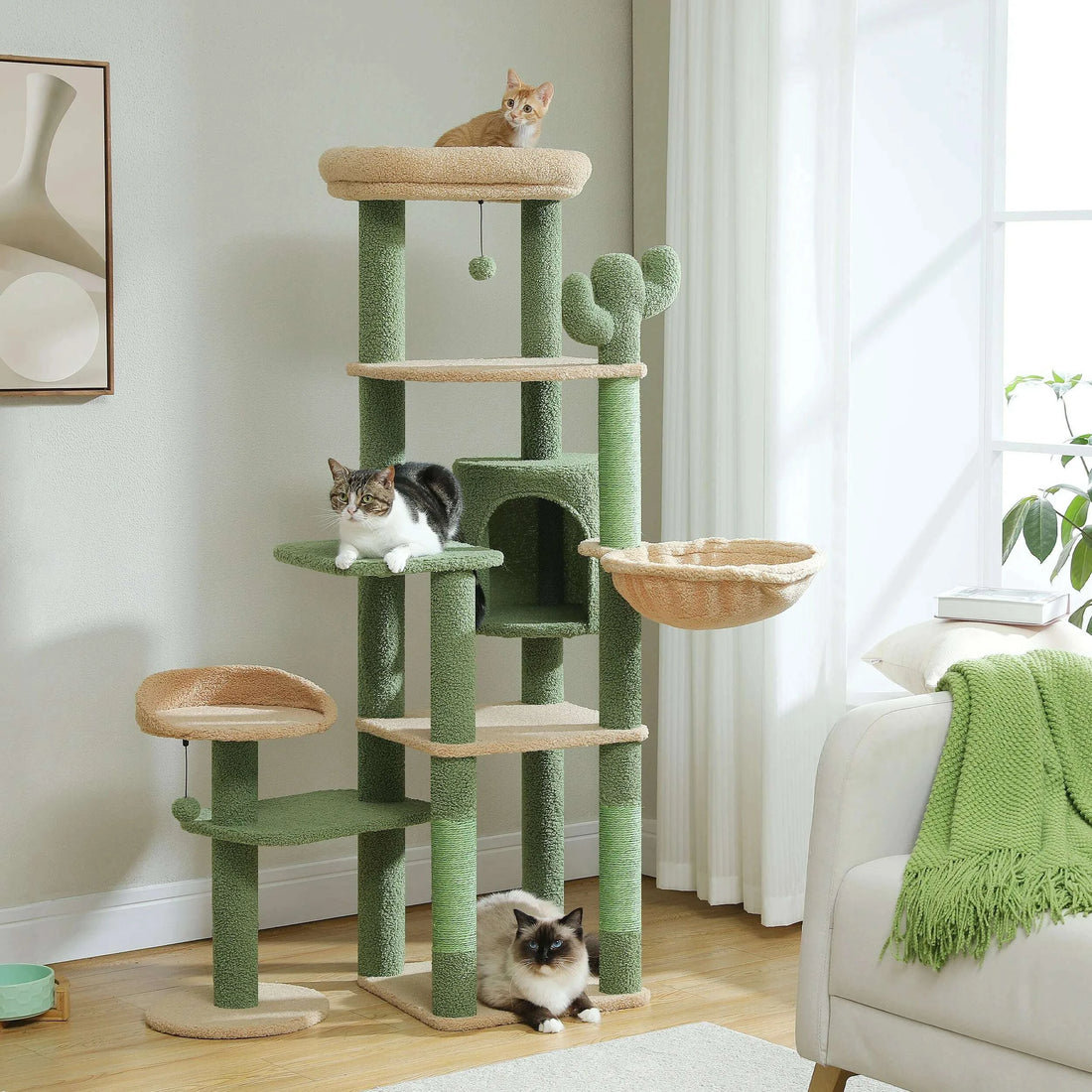 Grand arbre à chat vert sauge dans un salon lumineux, un chat tigré sur un plateau et un chat au masque sombre au pied