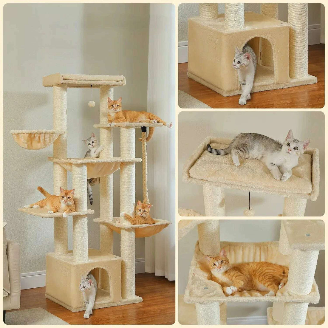 Collage de l'arbre à chat beige entier et de détails : niche d'entrée, plateforme moelleuse et hamac avec chat roux