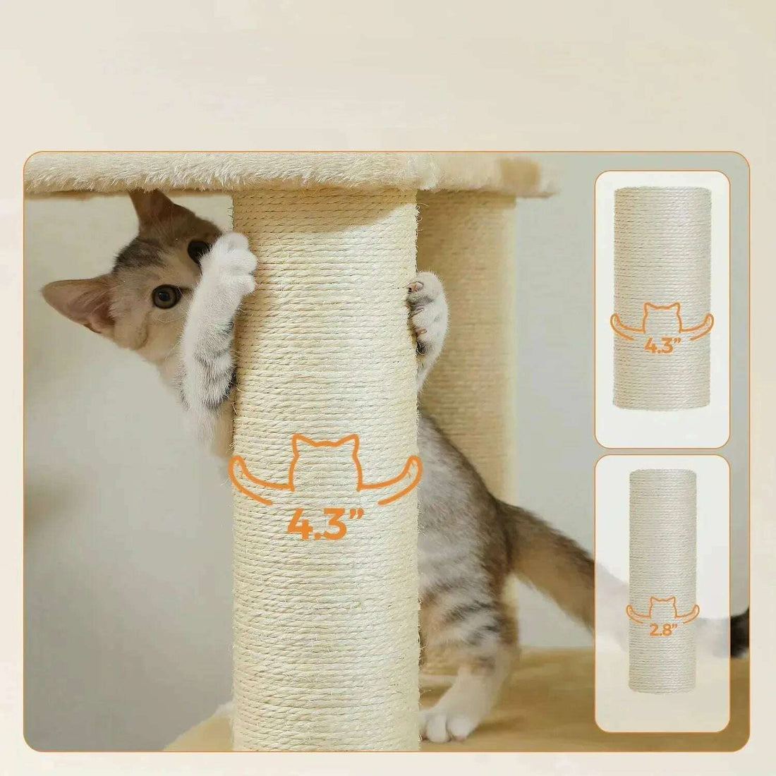 Chaton grimpant sur un poteau en sisal de 4,3 pouces de diamètre, second modèle de 2,8 pouces
