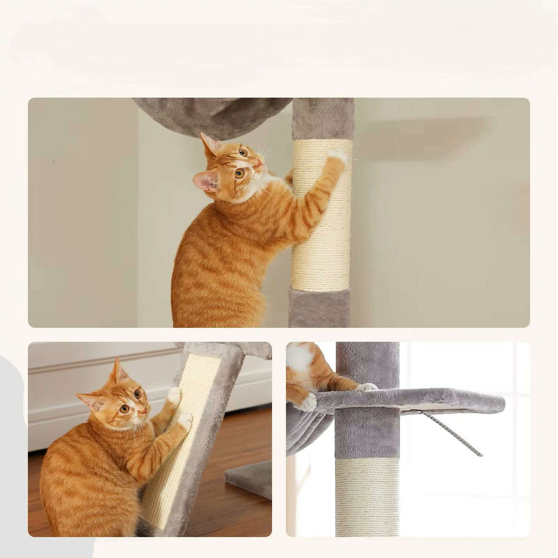 Chat roux qui se dresse pour griffer le poteau en sisal et la rampe d'un arbre à chat gris, trois vues
