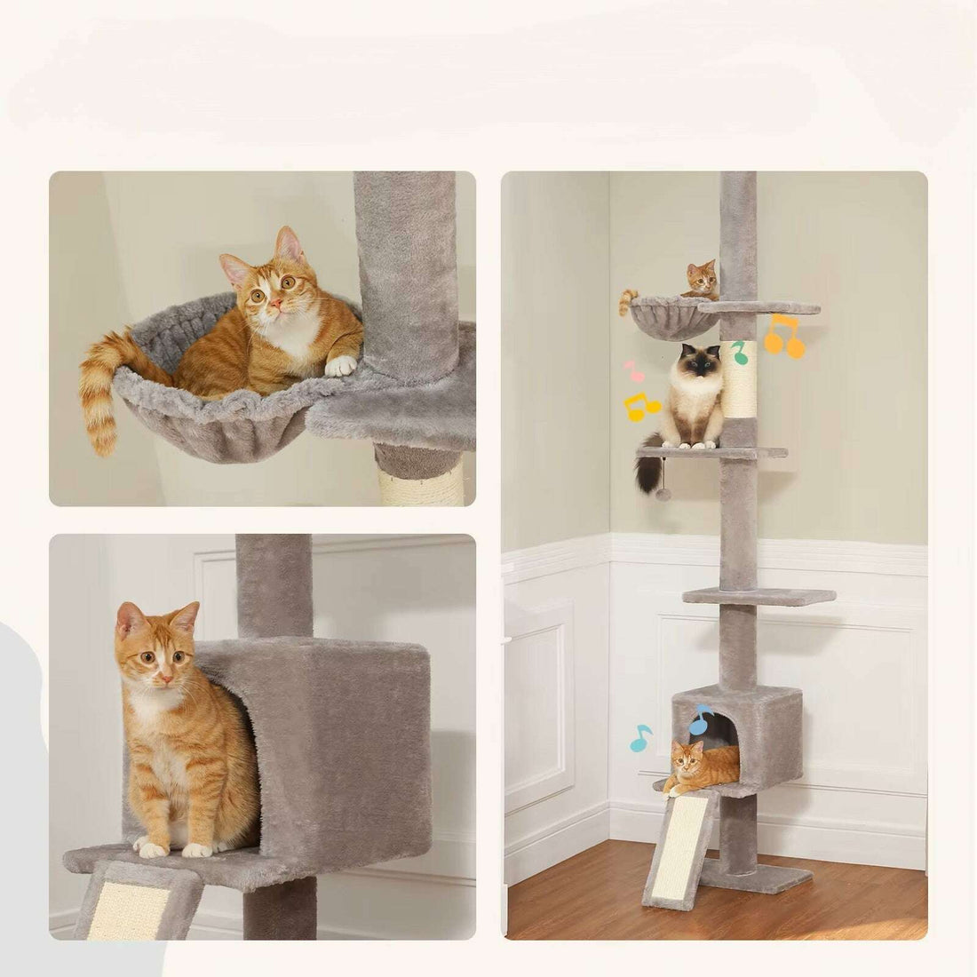 Chats roux et ragdoll installés dans le hamac, la niche et sur les plateaux d'un arbre à chat gris haut