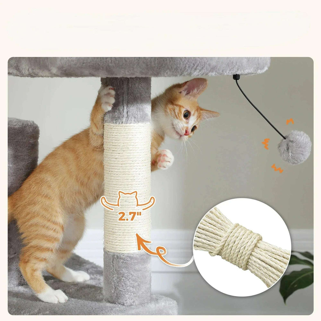 Chaton roux griffant un poteau recouvert de sisal de 2,7 pouces de diamètre