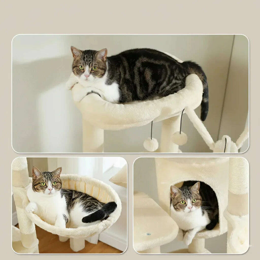 Giant multi-level cat tree
