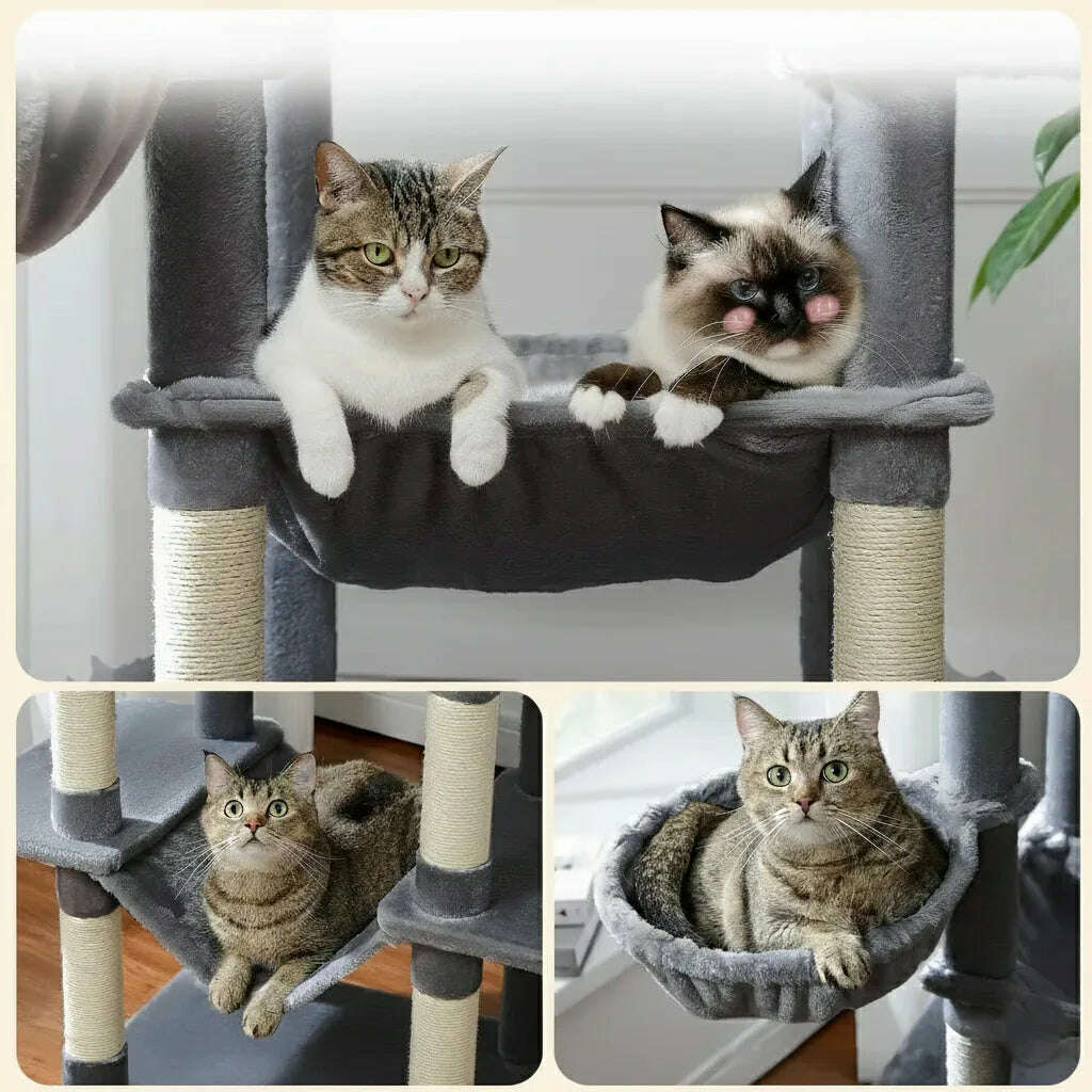 Trois vues rapprochées des hamacs et du panier gris de l'arbre à chat, avec des chats détendus dedans