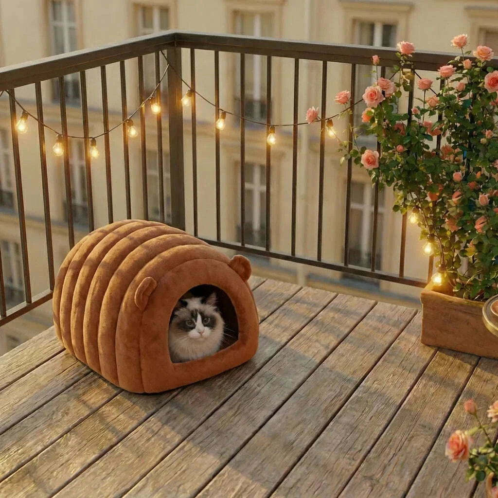 Chat ragdoll dans un nid marron à oreilles d'ourson sur un balcon ensoleillé, rosiers et guirlande lumineuse
