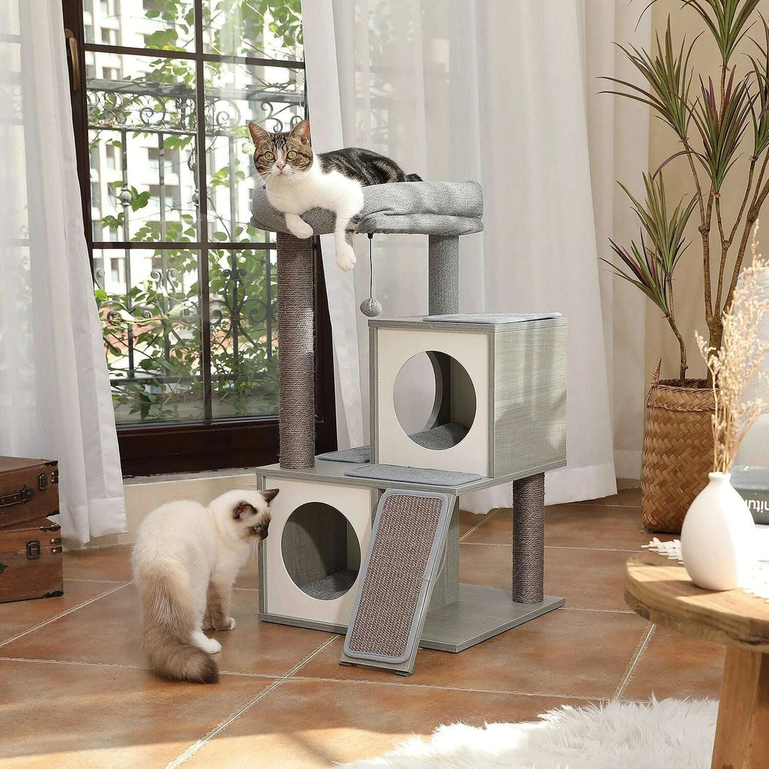 Arbre à chat gris près d'une fenêtre, un chat tigré et blanc sur le panier et un ragdoll qui renifle la niche du bas