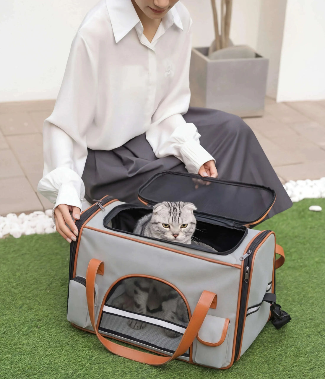 Chat gris tigré à oreilles pliées dans un sac de voyage gris clair ouvert, femme accroupie sur gazon synthétique