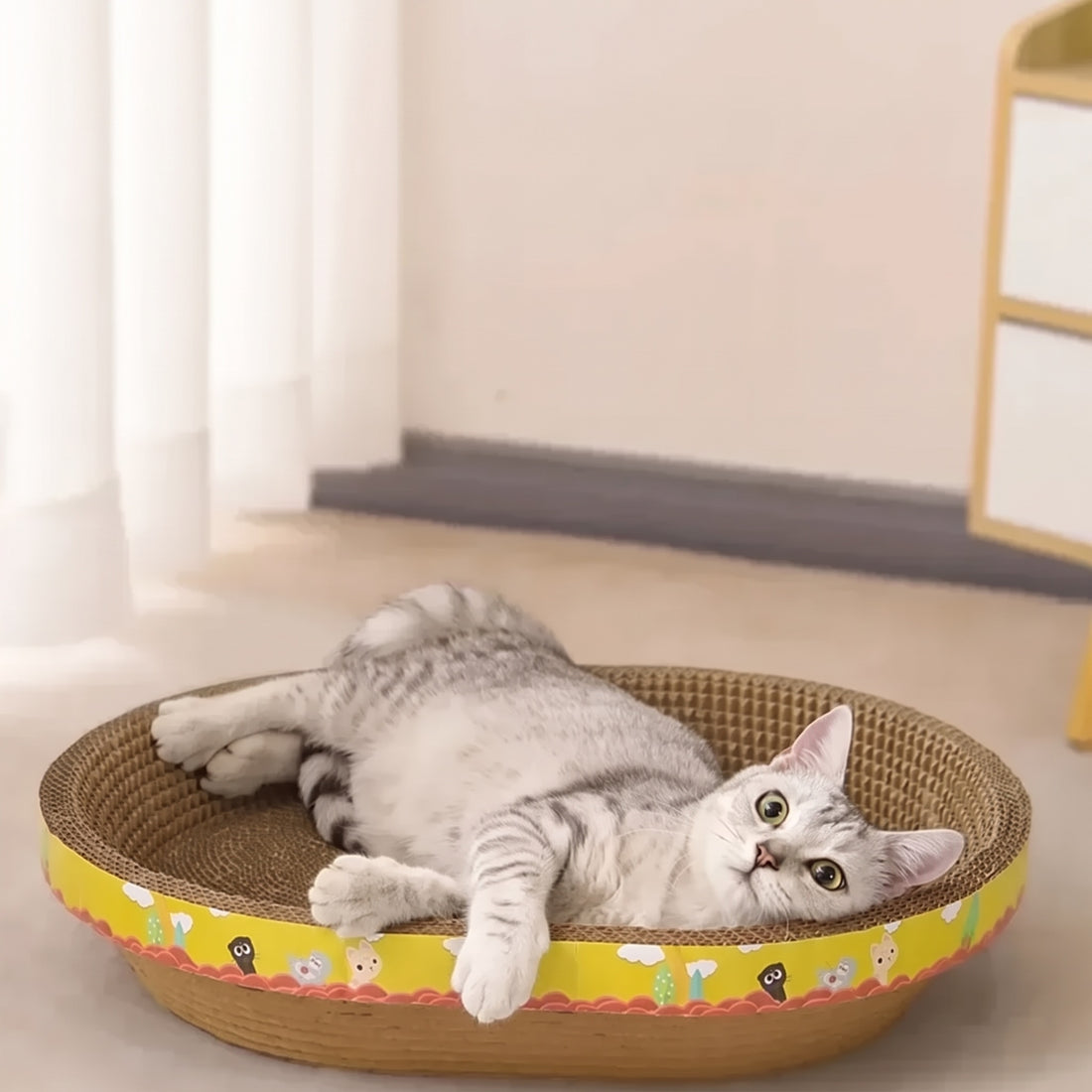 Chat tigré gris couché sur le dos, pattes en l'air, dans un panier griffoir en carton ovale