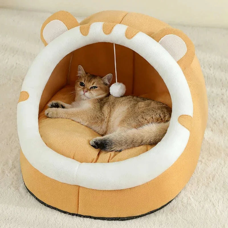 Small cat house, full view