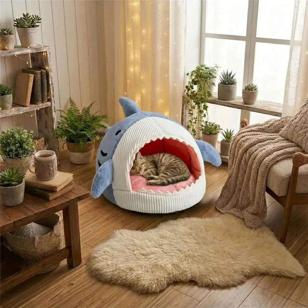 Chat tigré qui dort roulé en boule dans un lit requin bleu, décor de salon chaleureux avec plantes vertes