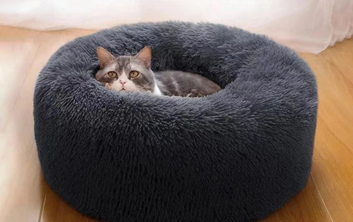 Chat gris et blanc allongé dans un panier rond gris anthracite à bords épais, sur un parquet clair