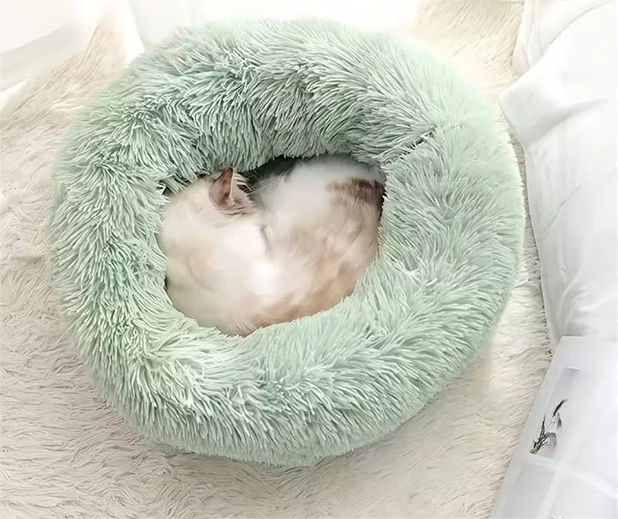 Chat blanc endormi en boule dans un panier douillet vert menthe, posé sur un tapis en fourrure blanche