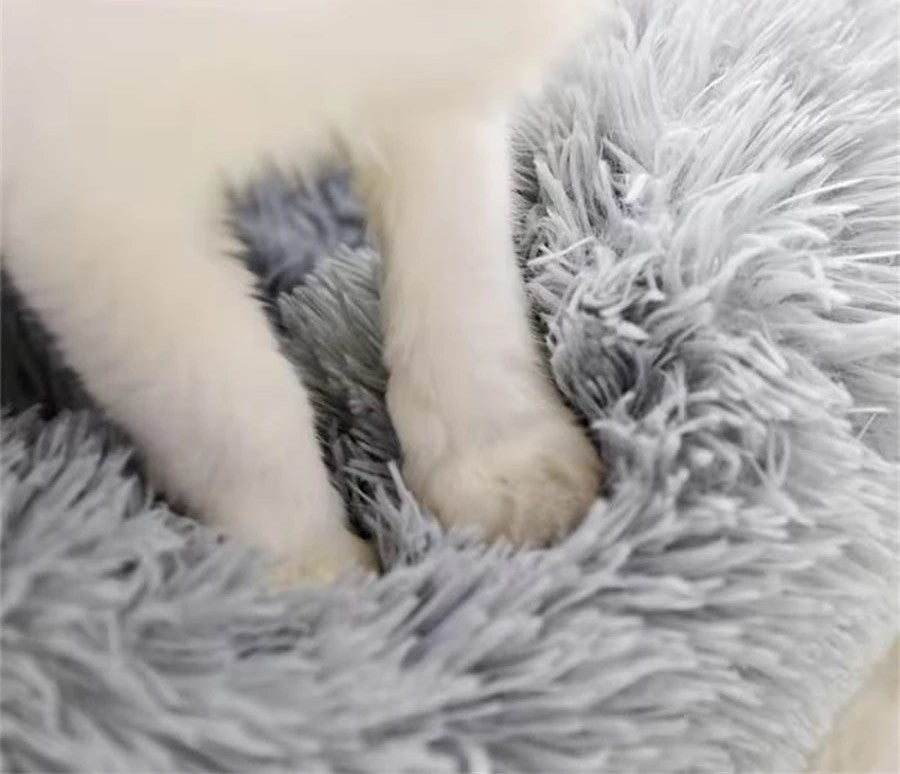 Gros plan sur les longs poils gris clair d'un couchage en peluche, avec les pattes blanches d'un chat