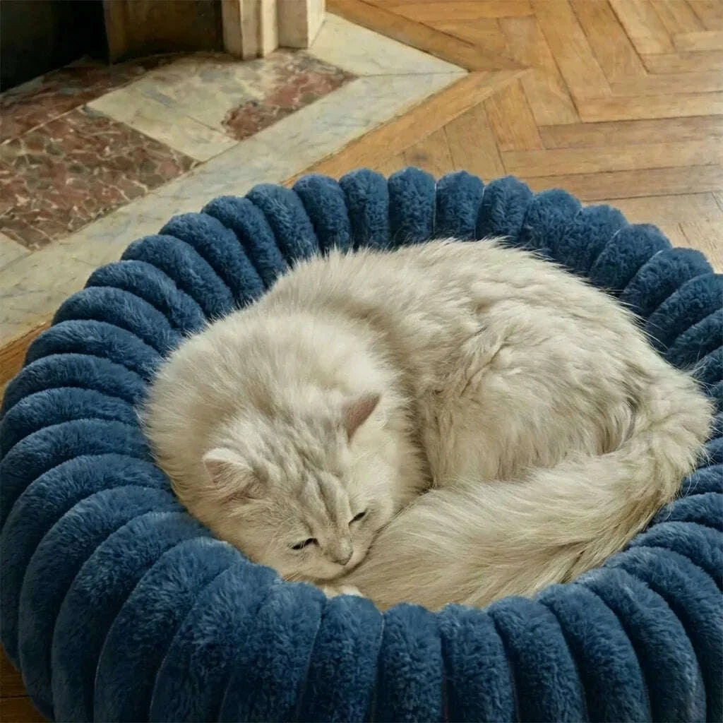 Chat au poil long beige endormi, enroulé dans un couffin douillet bleu marine posé sur un parquet en chevrons