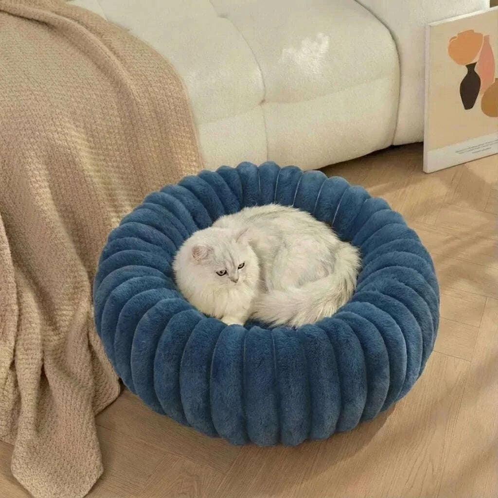 Chat blanc à poil long couché dans un coussin rond bleu, près d'un canapé crème et d'un plaid beige
