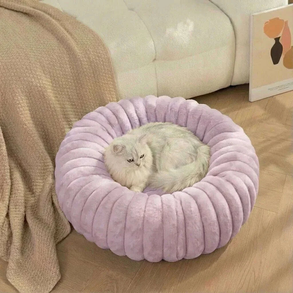 Chat blanc au poil mi-long installé dans un panier douillet mauve pâle, à côté d'un canapé et d'un plaid