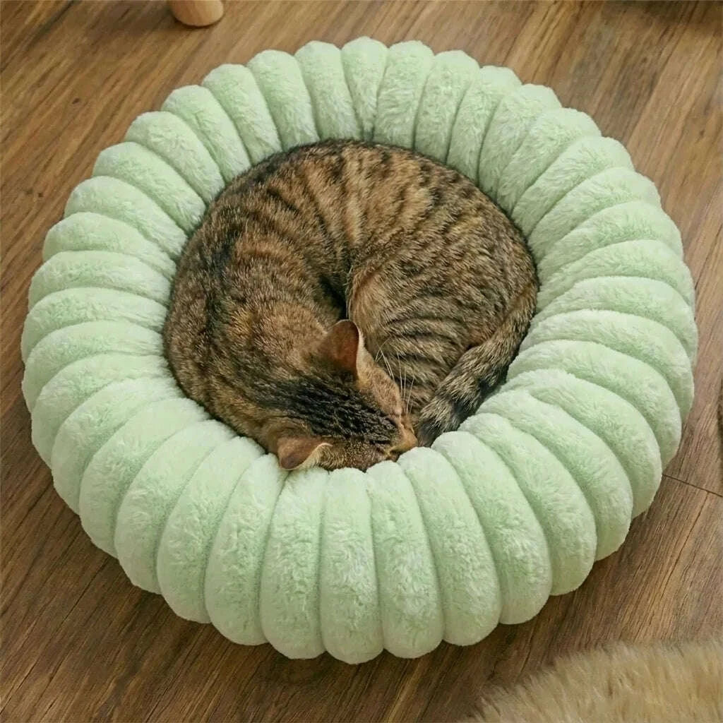 Chat tigré roulé en boule dans un couffin vert pastel en peluche, posé sur un parquet