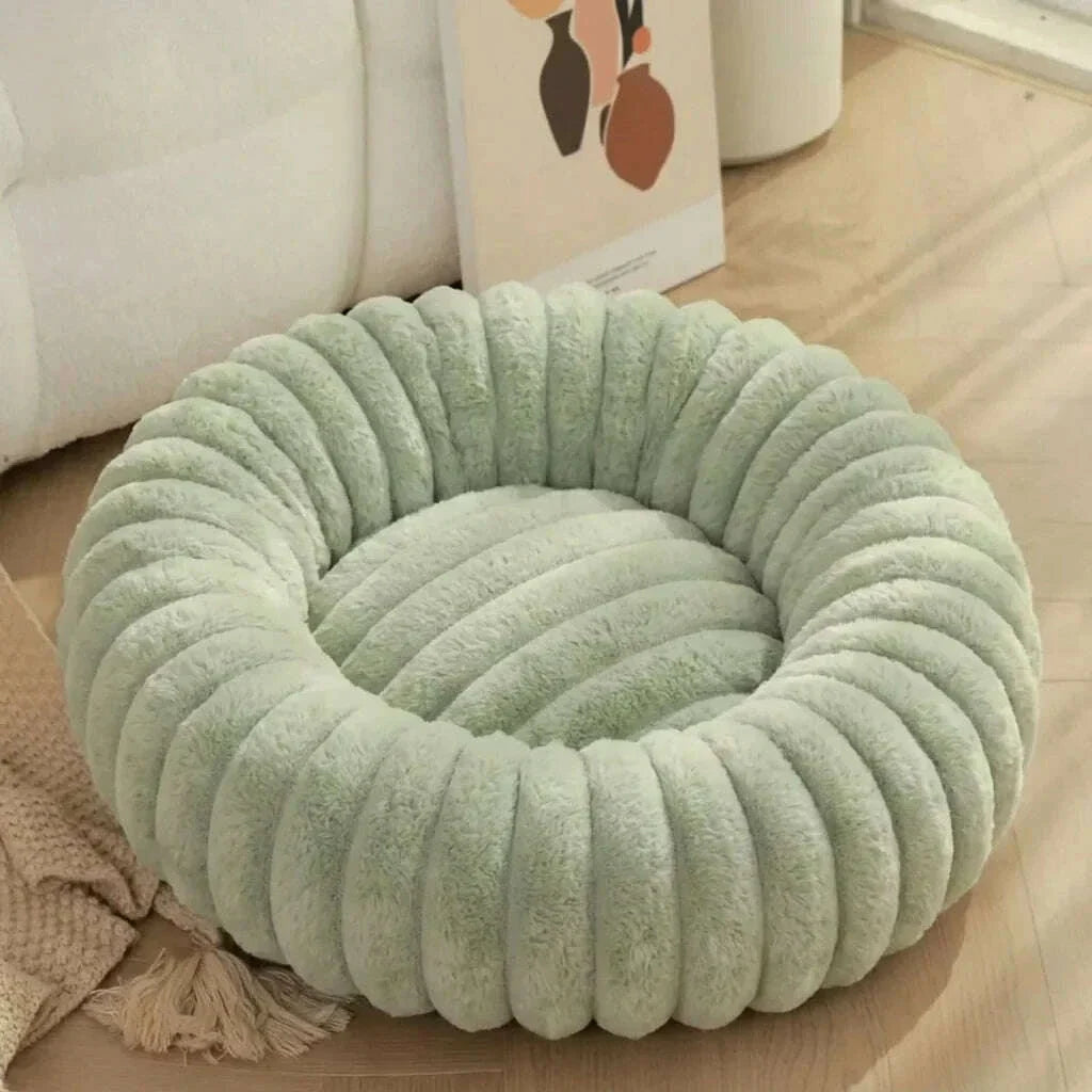 Modern cat bed, light blue