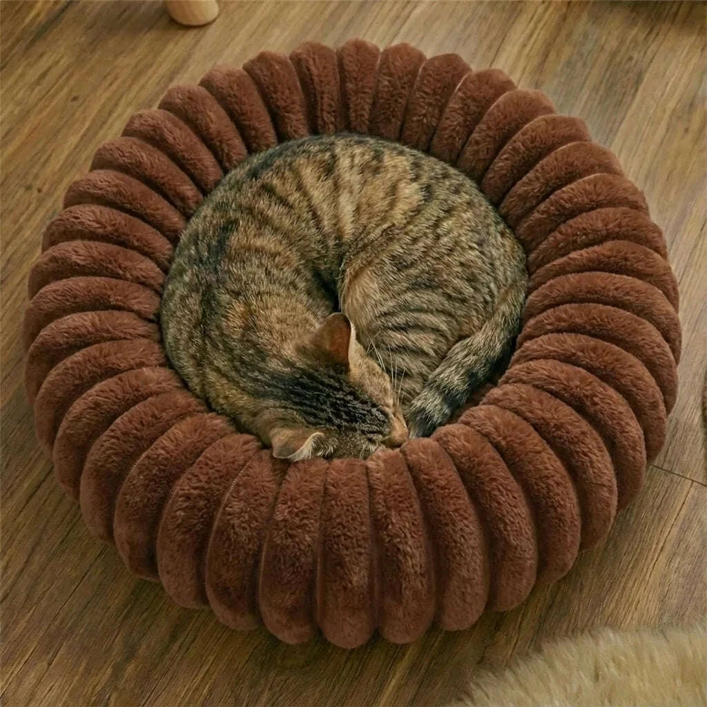 Chat tigré roulé en boule endormi dans un coussin rond en peluche marron posé sur du parquet