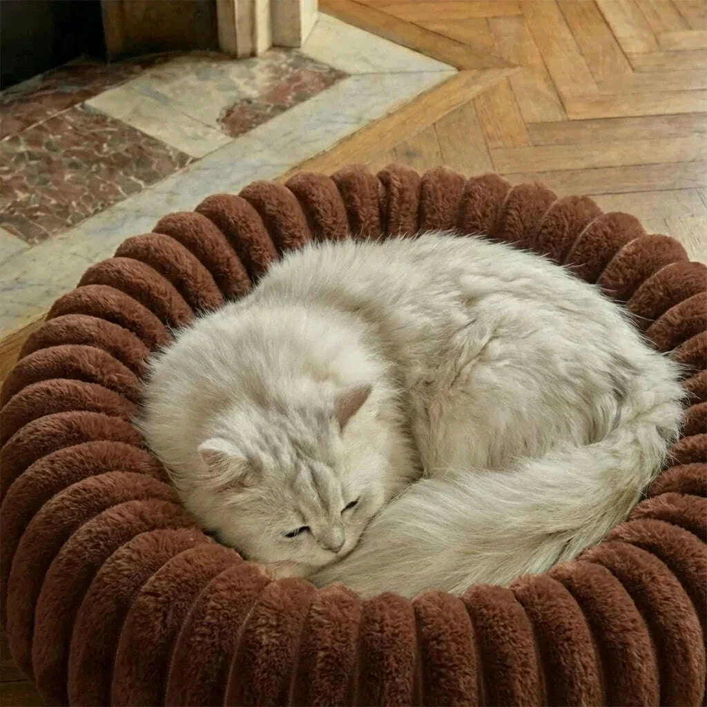 Chat à poil long gris clair dormant lové dans un couffin moelleux marron sur un parquet à chevrons