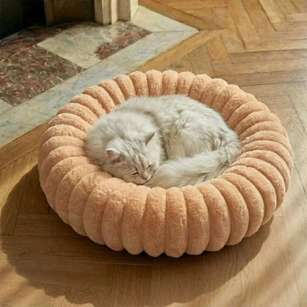 Petit chat gris et blanc endormi en boule dans un coussin rond orange pêche posé sur un parquet ensoleillé