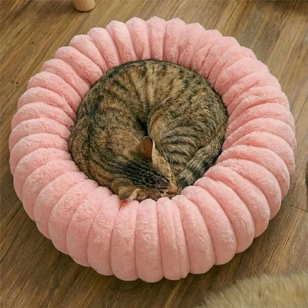 Chat tigré brun endormi en boule dans un coussin rond rose côtelé posé sur un parquet