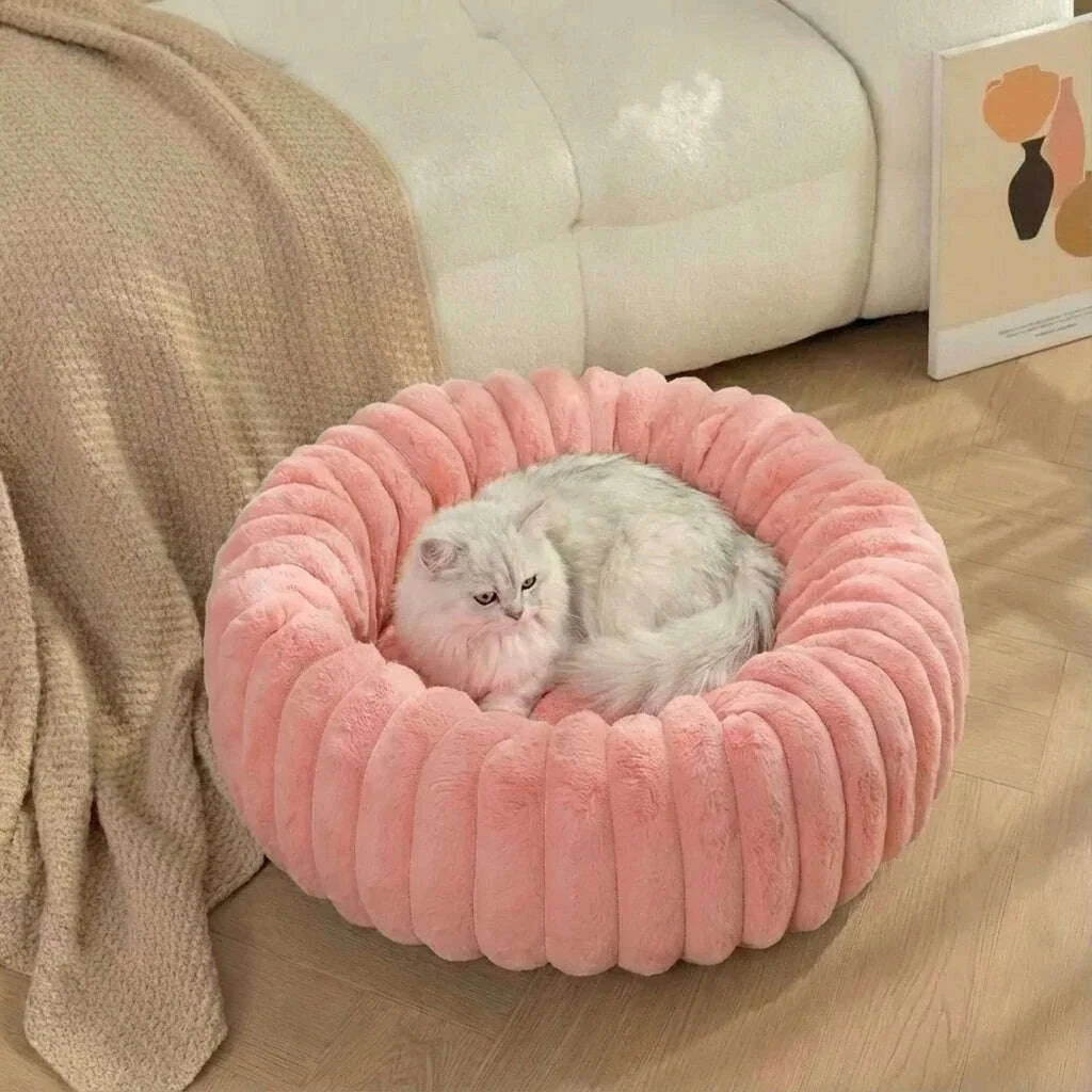 Chat blanc à poil long couché dans un couchage rose moelleux près d'un canapé crème et d'un plaid beige