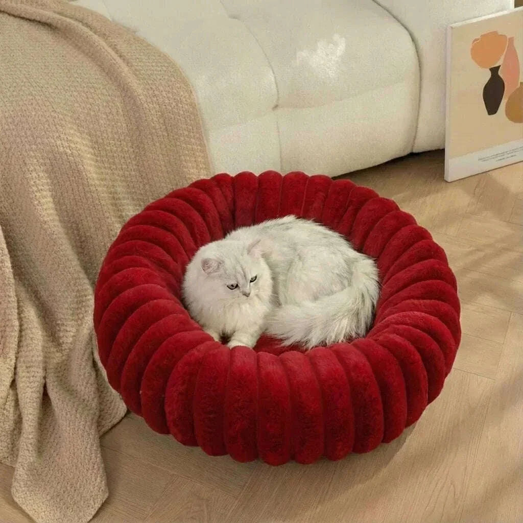 Modern cat bed, light blue