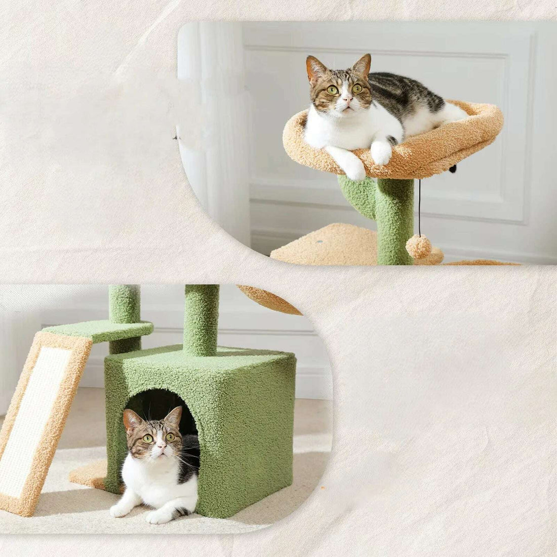 Compact cactus cat tree, back view