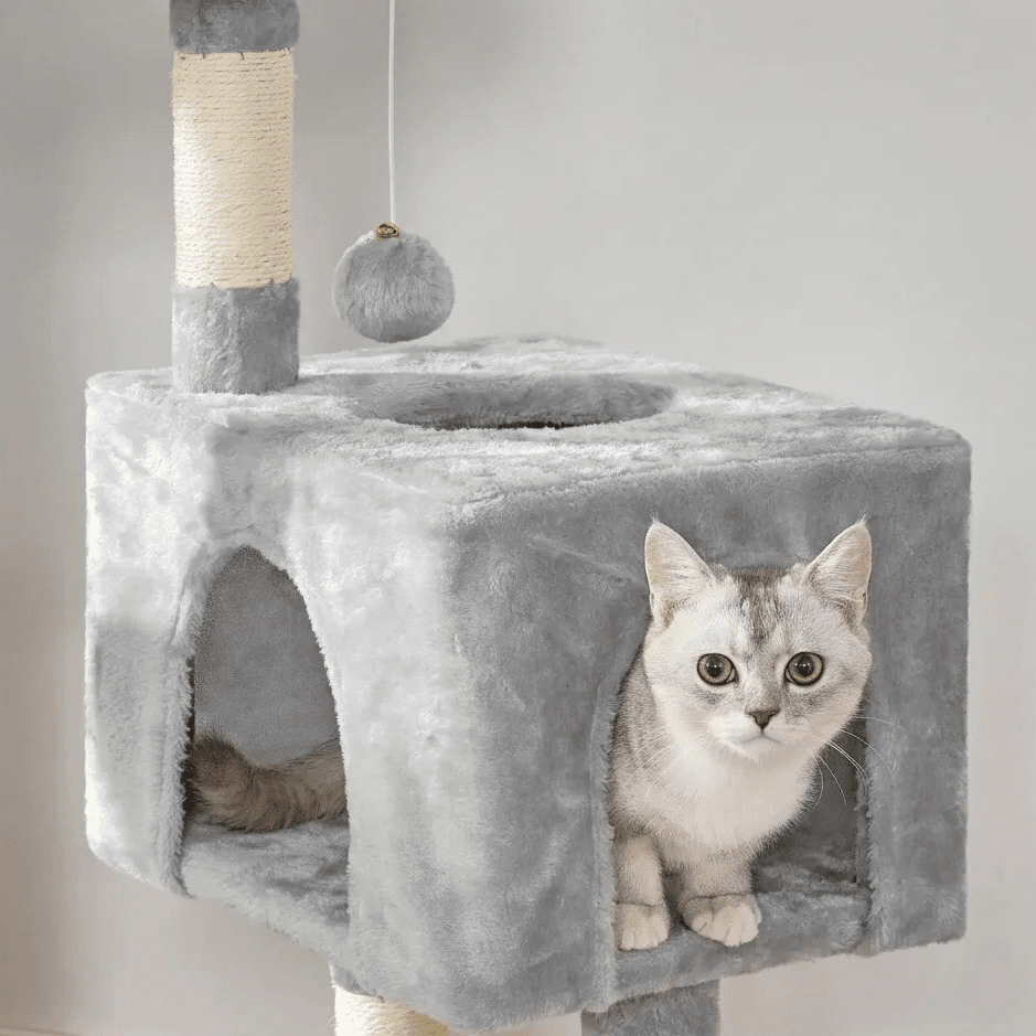 Gros plan sur la niche en peluche grise et la balle suspendue, avec un chat clair qui regarde par l'ouverture