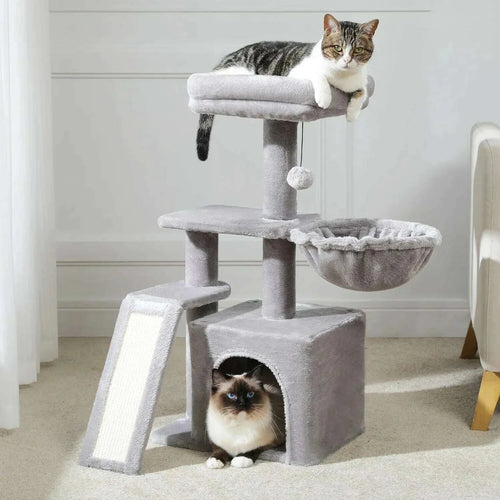 Arbre à chat gris près d'un rideau blanc, chat tigré sur le plateau du haut et chat ragdoll dans la niche