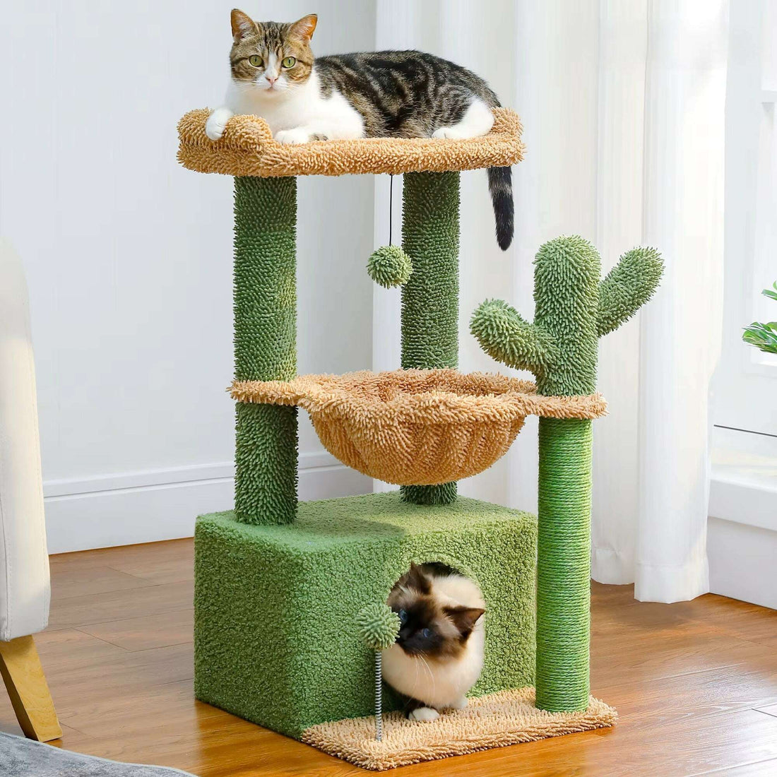 Modèle cactus vert sur parquet, chat tigré allongé sur le perchoir et chat dans la niche